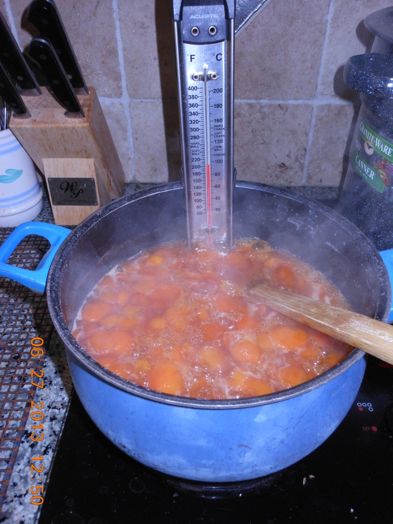 I cooked the apricots and followed the recipe for my jam.