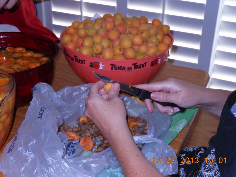 First, I washed the apricots.  Then I pitted the apricots.